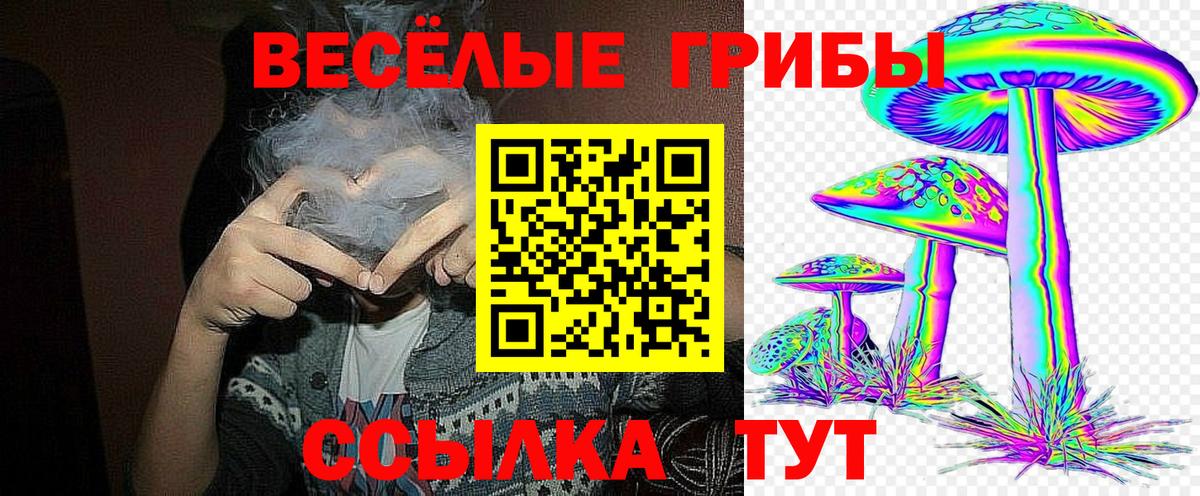 Галлюциногенные грибы мицелий Богородицк