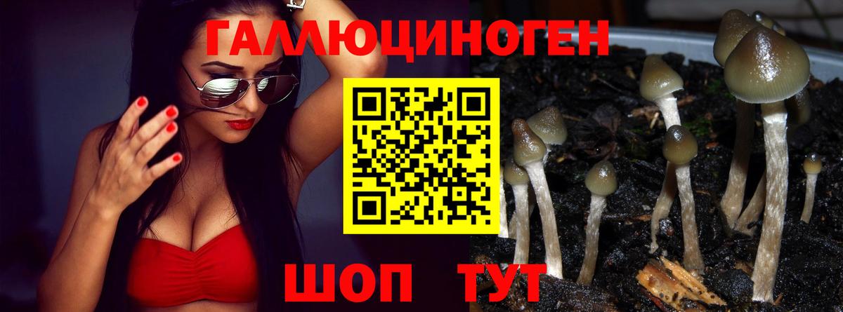 Галлюциногенные грибы прущие грибы  Галлюциногенные грибы Psilocybine cubensis  Богородицк  Вход с VPN 